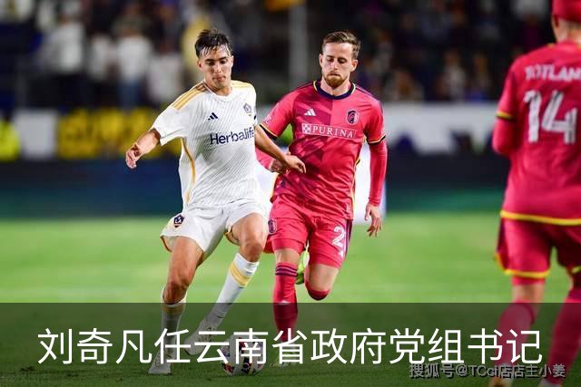 刘奇凡任云南省政府党组书记