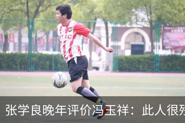 张学良晚年评价冯玉祥：此人很残忍、谎话连篇，我这辈子做不出他做的事！