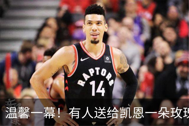 温馨一幕！有人送给凯恩一朵玫瑰花，他转身交给妻子凯蒂