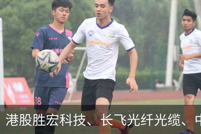 港股胜宏科技、长飞光纤光缆、中际旭创、剑桥科技、君正股份，集体大跌