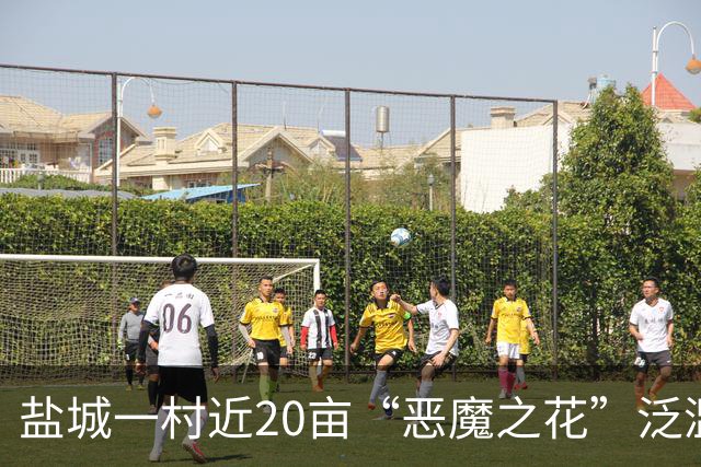 盐城一村近20亩“恶魔之花”泛滥成灾，这独特的风景为何无人管？