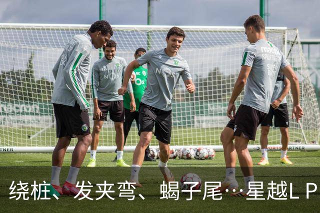 绕桩、发夹弯、蝎子尾…星越L PLUS这套极限连测在测什么？