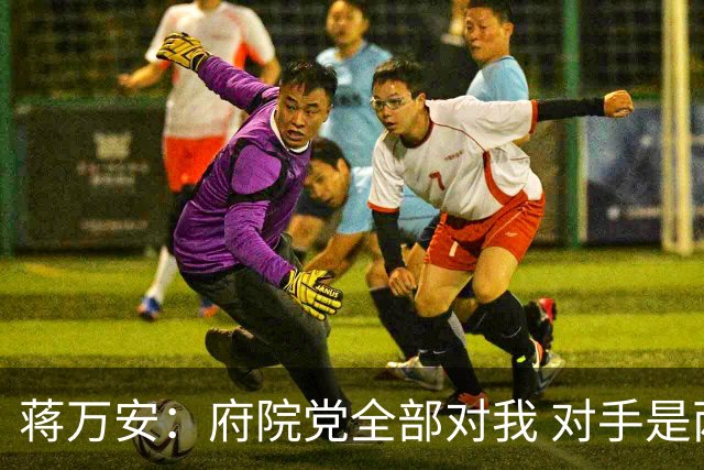 蒋万安：府院党全部对我 对手是两个沈伯洋