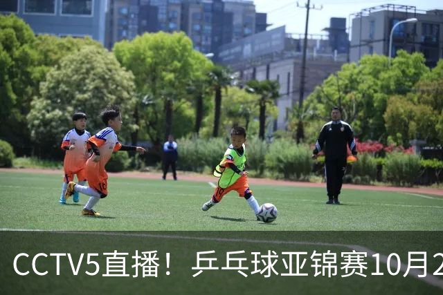 CCTV5直播！乒乓球亚锦赛10月24日赛程：国乒女单女双冲4强，黄友政两战张本智和