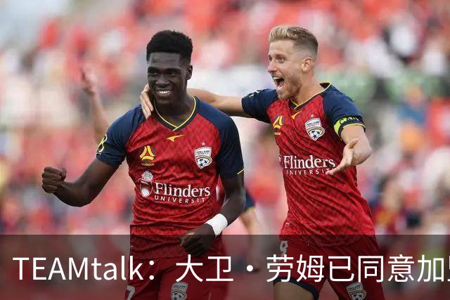 TEAMtalk：大卫·劳姆已同意加盟曼联；卡里克：定期和弗爵以及索肖联系